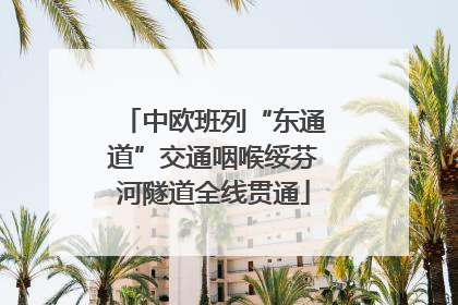 中欧班列“东通道”交通咽喉绥芬河隧道全线贯通