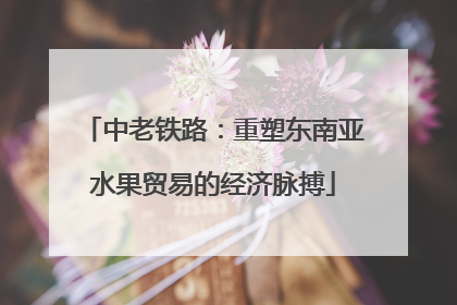 中老铁路：重塑东南亚水果贸易的经济脉搏