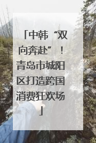 中韩“双向奔赴”！青岛市城阳区打造跨国消费狂欢场