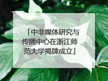 中非媒体研究与传播中心在浙江师范大学揭牌成立