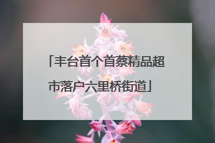 丰台首个首蔡精品超市落户六里桥街道