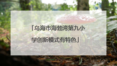 乌海市海勃湾第九小学创新模式有特色