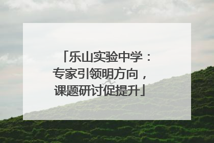 乐山实验中学：专家引领明方向，课题研讨促提升