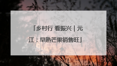 乡村行 看振兴｜元江：早熟芒果销售旺