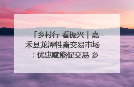 乡村行 看振兴｜嘉禾县龙潭牲畜交易市场：优惠赋能促交易 乡村振兴添动能