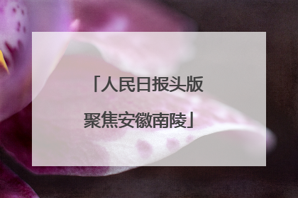 人民日报头版聚焦安徽南陵