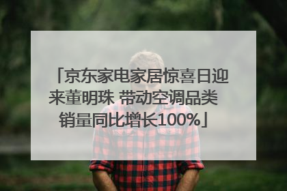 京东家电家居惊喜日迎来董明珠 带动空调品类销量同比增长100%