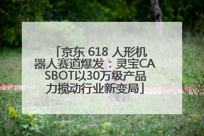 京东 618 人形机器人赛道爆发：灵宝CASBOT以30万级产品力搅动行业新变局