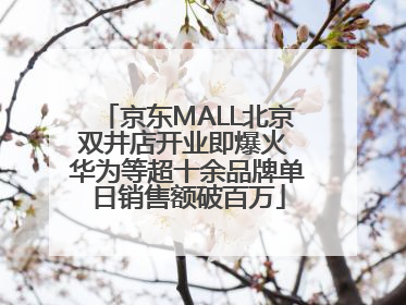 京东MALL北京双井店开业即爆火 华为等超十余品牌单日销售额破百万
