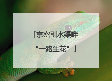 京密引水渠畔“一路生花”
