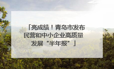 亮成绩！青岛市发布民营和中小企业高质量发展“半年报”