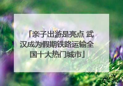 亲子出游是亮点 武汉成为假期铁路运输全国十大热门城市