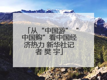 从“中国游”“中国购”看中国经济热力 新华社记者 樊 宇