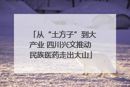 从“土方子”到大产业 四川兴文推动民族医药走出大山