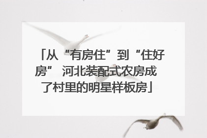 从“有房住”到“住好房” 河北装配式农房成了村里的明星样板房