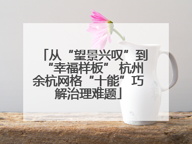 从“望景兴叹”到“幸福样板” 杭州余杭网格“十能”巧解治理难题