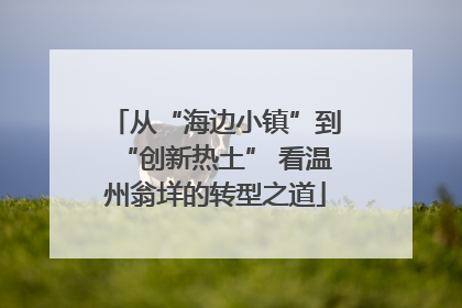 从“海边小镇”到“创新热土” 看温州翁垟的转型之道