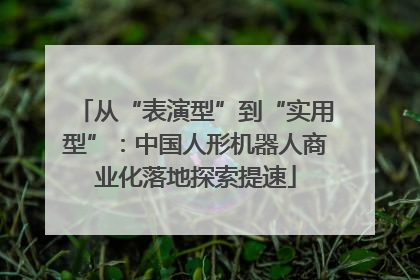 从“表演型”到“实用型”：中国人形机器人商业化落地探索提速