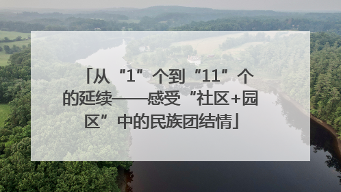 从“1”个到“11”个的延续——感受“社区+园区”中的民族团结情