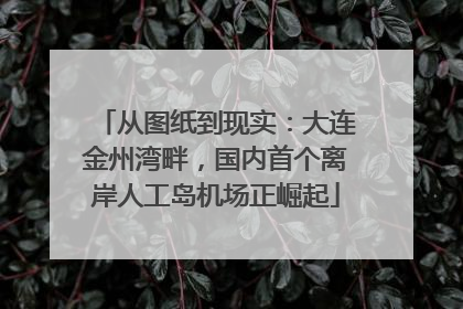 从图纸到现实：大连金州湾畔，国内首个离岸人工岛机场正崛起