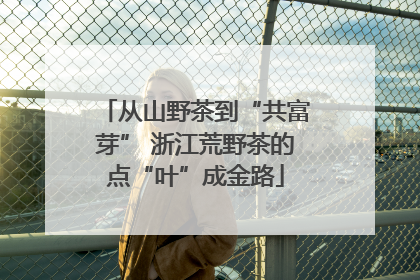 从山野茶到“共富芽” 浙江荒野茶的点“叶”成金路