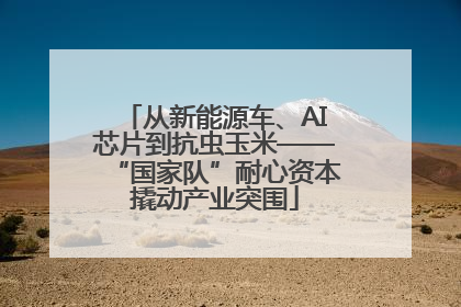 从新能源车、AI芯片到抗虫玉米——“国家队”耐心资本撬动产业突围