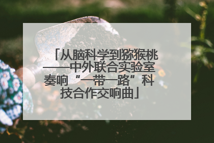 从脑科学到猕猴桃——中外联合实验室奏响“一带一路”科技合作交响曲
