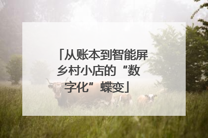 从账本到智能屏 乡村小店的“数字化”蝶变