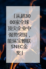 从超3000家全球顶尖企业中强势突围，能环宝蝉联SNEC金奖