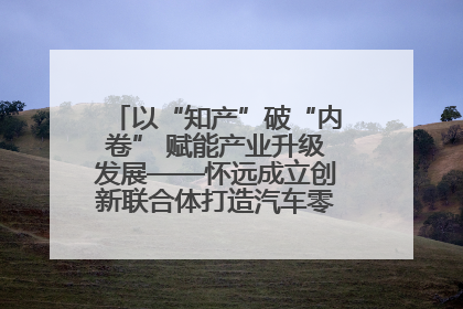 以“知产”破“内卷” 赋能产业升级发展——怀远成立创新联合体打造汽车零部件产业新高地