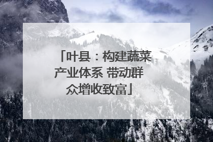 叶县：构建蔬菜产业体系 带动群众增收致富