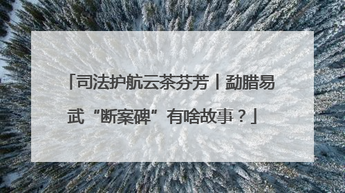 司法护航云茶芬芳丨勐腊易武“断案碑”有啥故事？