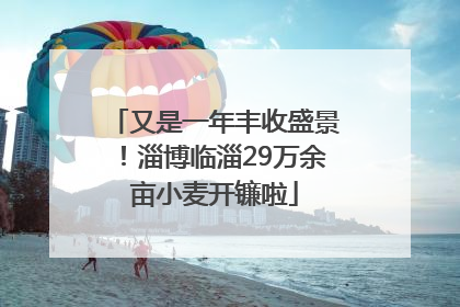 又是一年丰收盛景！淄博临淄29万余亩小麦开镰啦