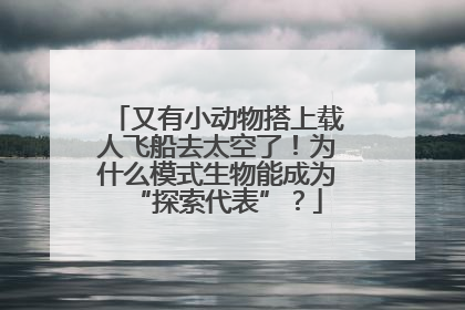 又有小动物搭上载人飞船去太空了！为什么模式生物能成为“探索代表”？