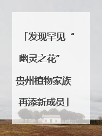 发现罕见“幽灵之花” 贵州植物家族再添新成员