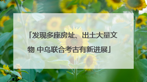 发现多座房址、出土大量文物 中乌联合考古有新进展