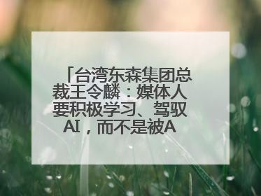 台湾东森集团总裁王令麟：媒体人要积极学习、驾驭AI，而不是被AI利用