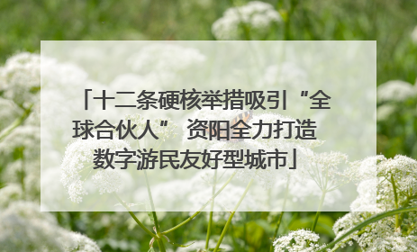 十二条硬核举措吸引“全球合伙人” 资阳全力打造数字游民友好型城市