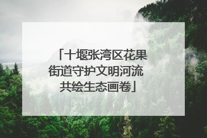 十堰张湾区花果街道守护文明河流 共绘生态画卷