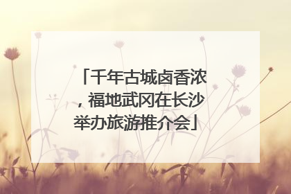 千年古城卤香浓，福地武冈在长沙举办旅游推介会