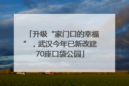 升级“家门口的幸福”，武汉今年已新改建70座口袋公园