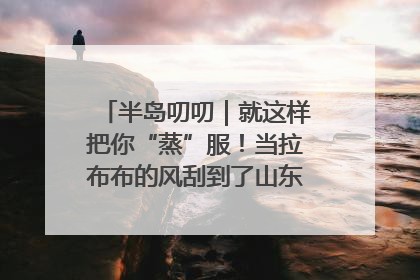 半岛叨叨｜就这样把你“蒸”服！当拉布布的风刮到了山东馒头界……