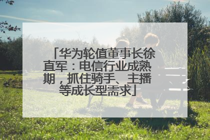 华为轮值董事长徐直军：电信行业成熟期，抓住骑手、主播等成长型需求