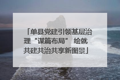 单县党建引领基层治理“谋篇布局” 绘就共建共治共享新图景
