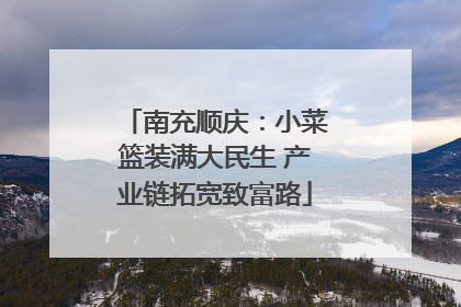 南充顺庆：小菜篮装满大民生 产业链拓宽致富路