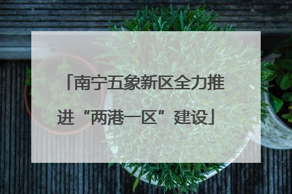 南宁五象新区全力推进“两港一区”建设