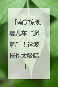 南宁惊现婴儿车“遛鸭”！这波操作太吸睛