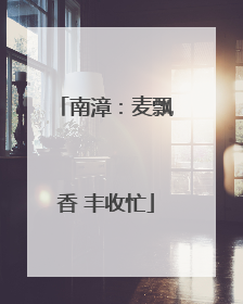 南漳：麦飘香 丰收忙
