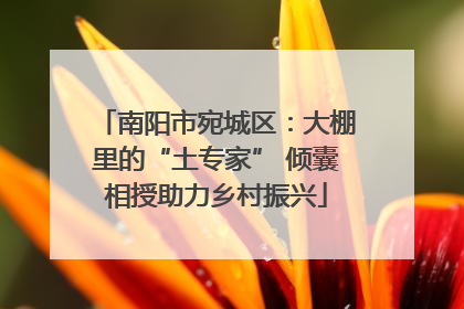 南阳市宛城区：大棚里的“土专家” 倾囊相授助力乡村振兴
