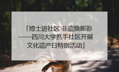 博士进社区 非遗焕新彩——四川大学携手社区开展文化遗产日特别活动